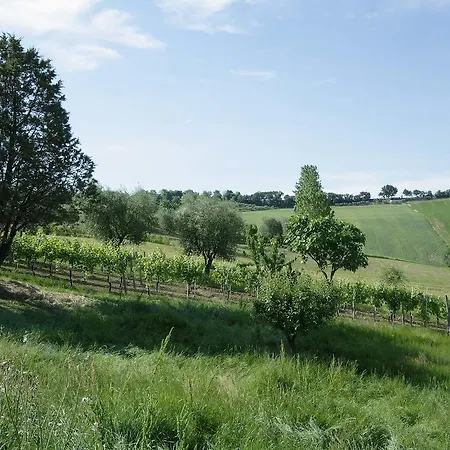 La Madonnina 3* Senigallia