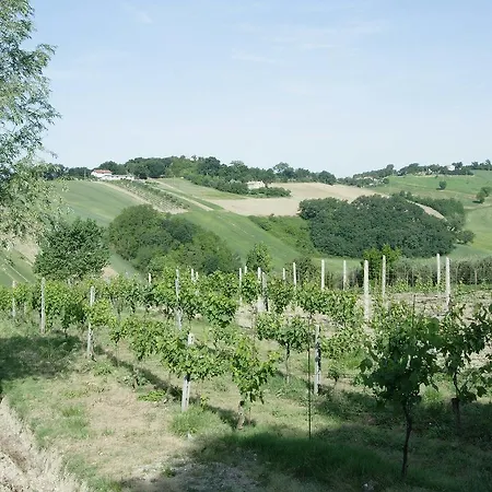 La Madonnina Senigallia
