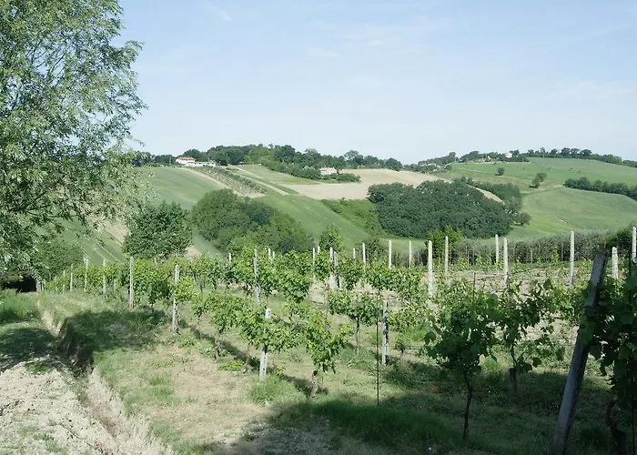 La Madonnina Senigallia