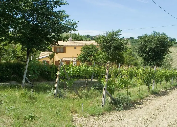 Hotel La Madonnina 3*